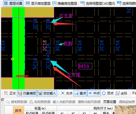 肋梁