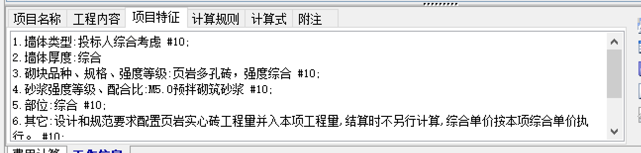 项目特征