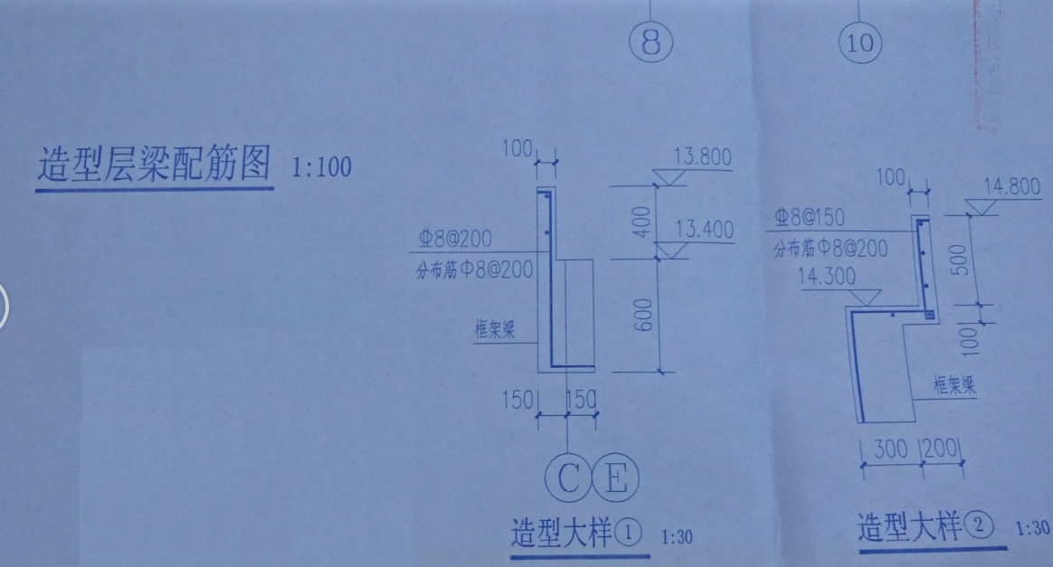 分布筋