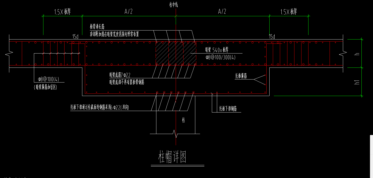 柱截面