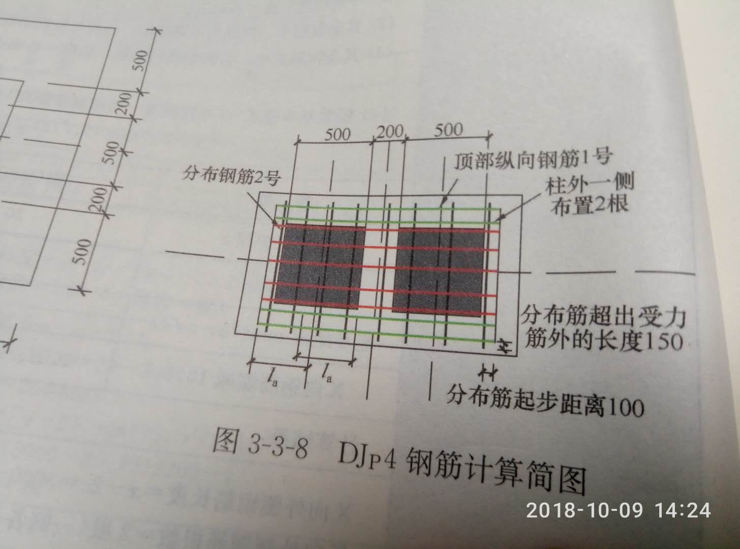 分布筋