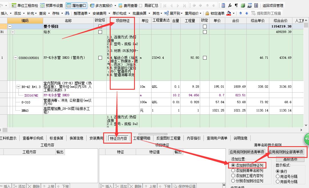 项目特征