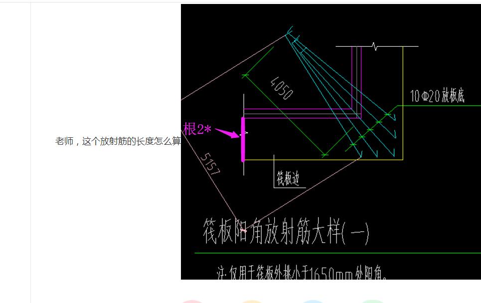 放射筋