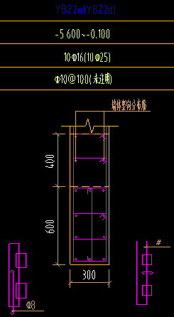 纵筋信息
