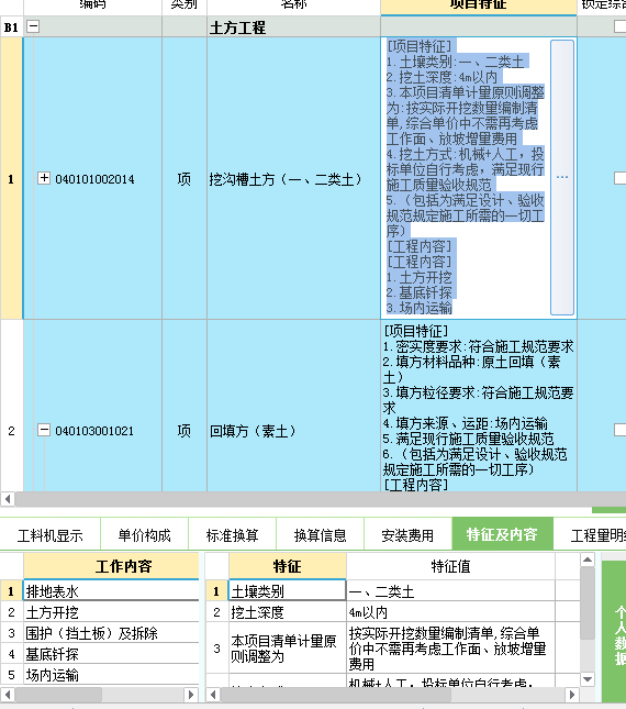 项目特征