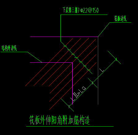 放射筋