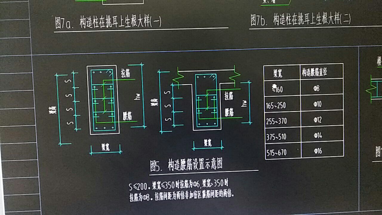 腹板