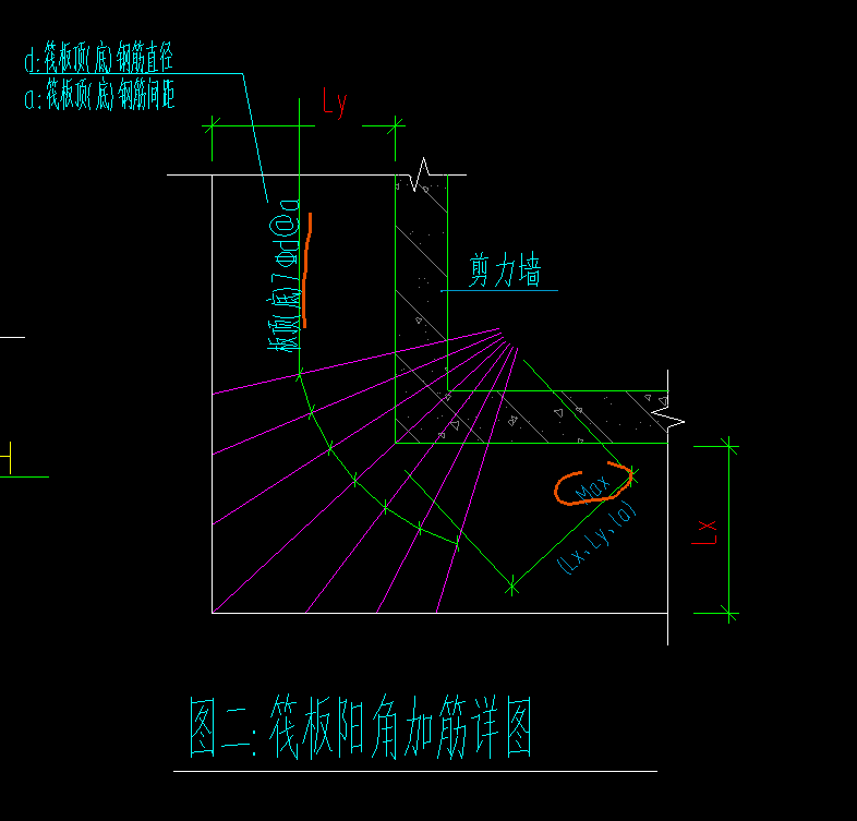 放射筋