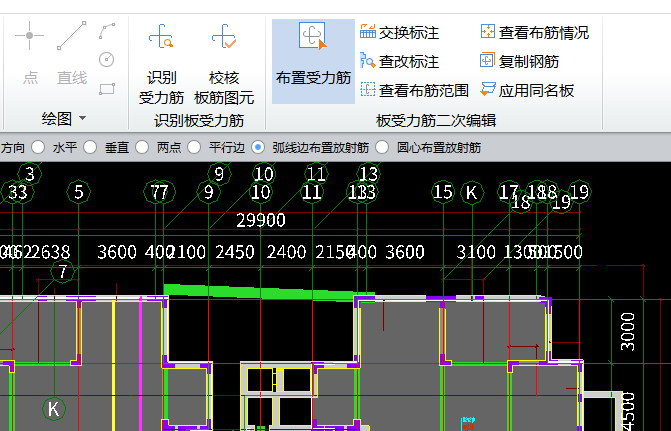 放射筋