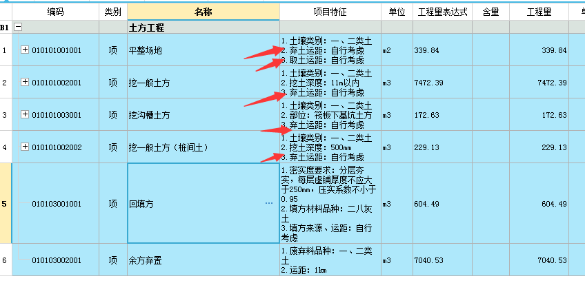 项目特征