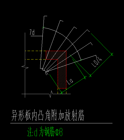 放射筋长度