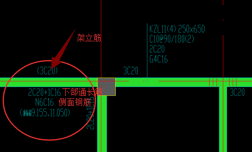 原位标注