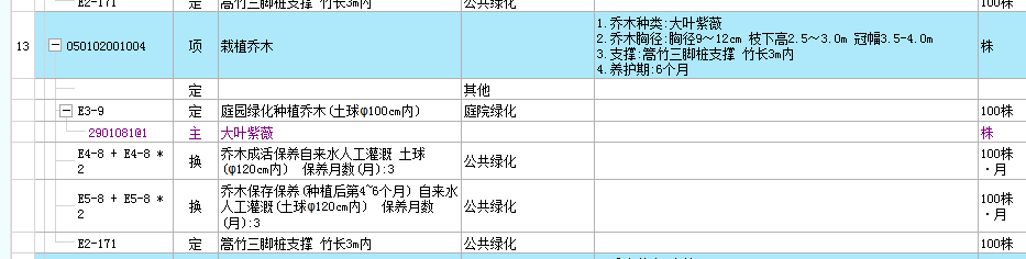 项目特征
