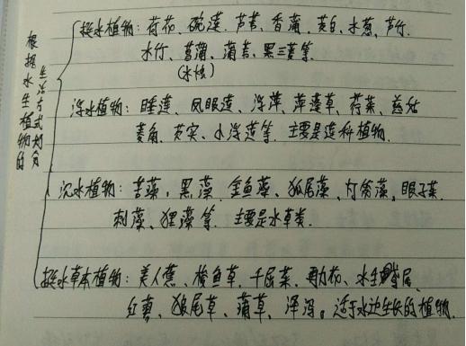 定额