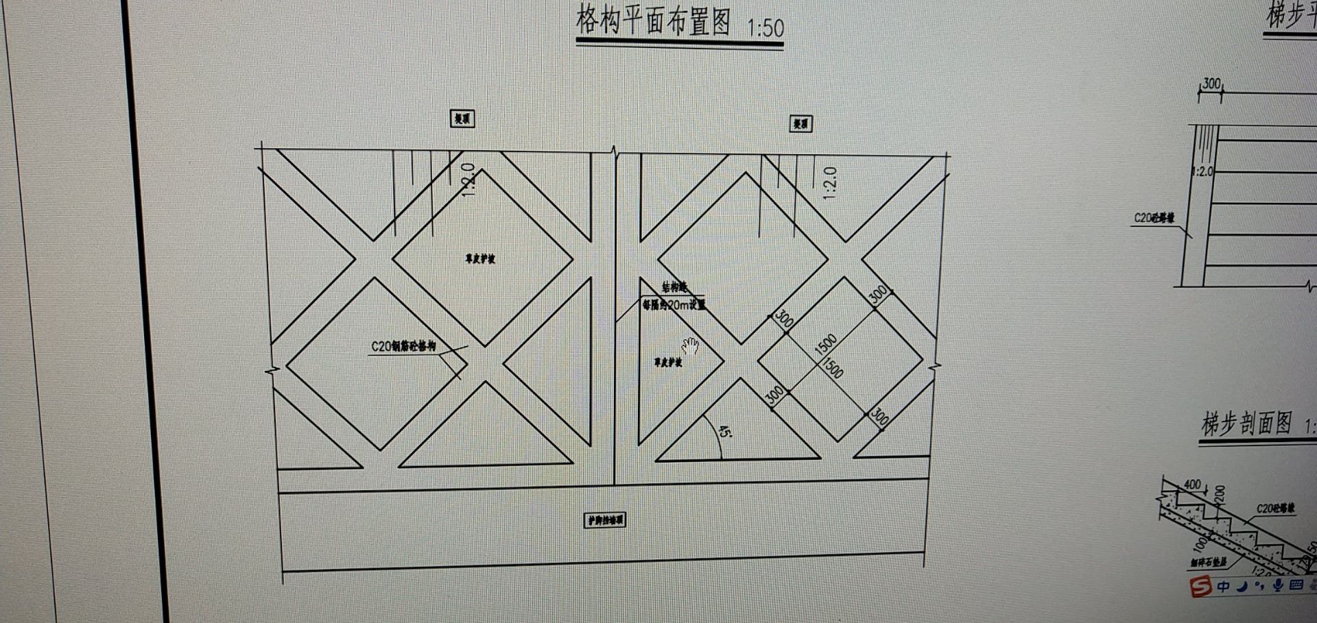 縱筋