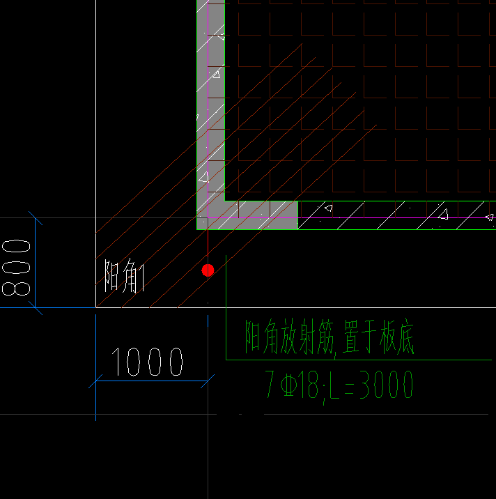 放射筋