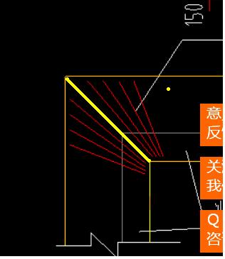 放射筋