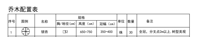 项目特征