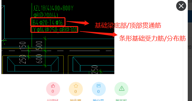 分布筋