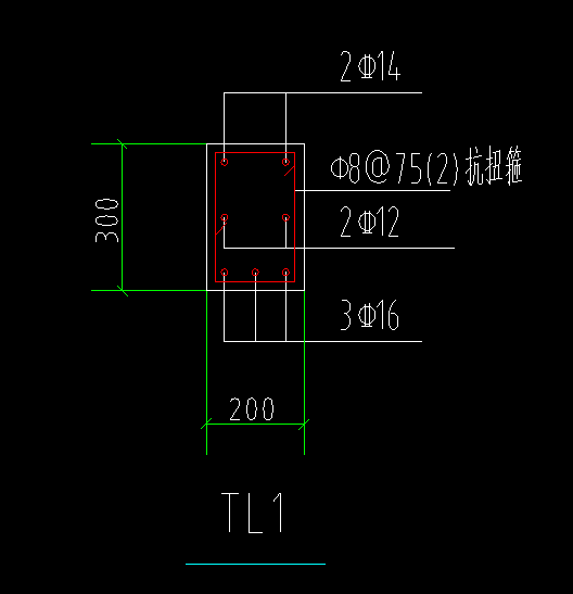 抗扭筋