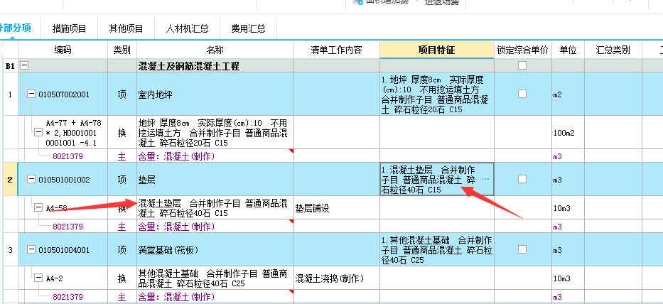 项目特征