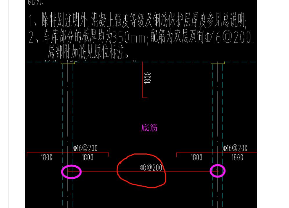 面筋