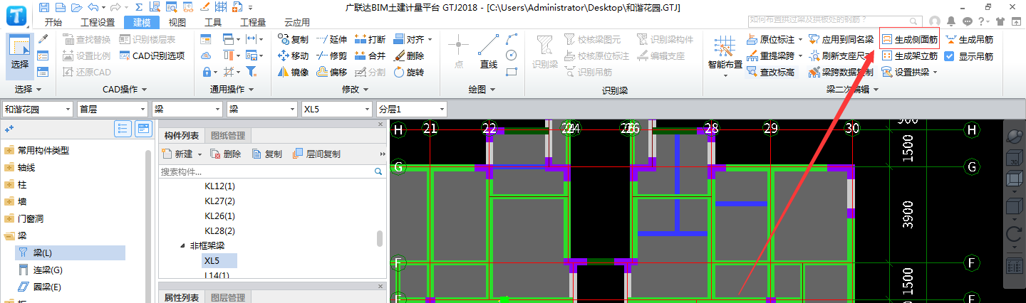 自动生成侧面钢筋