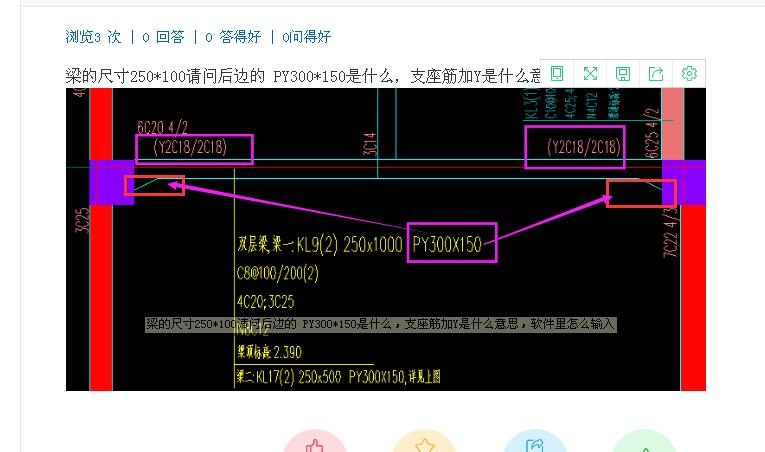 支座筋