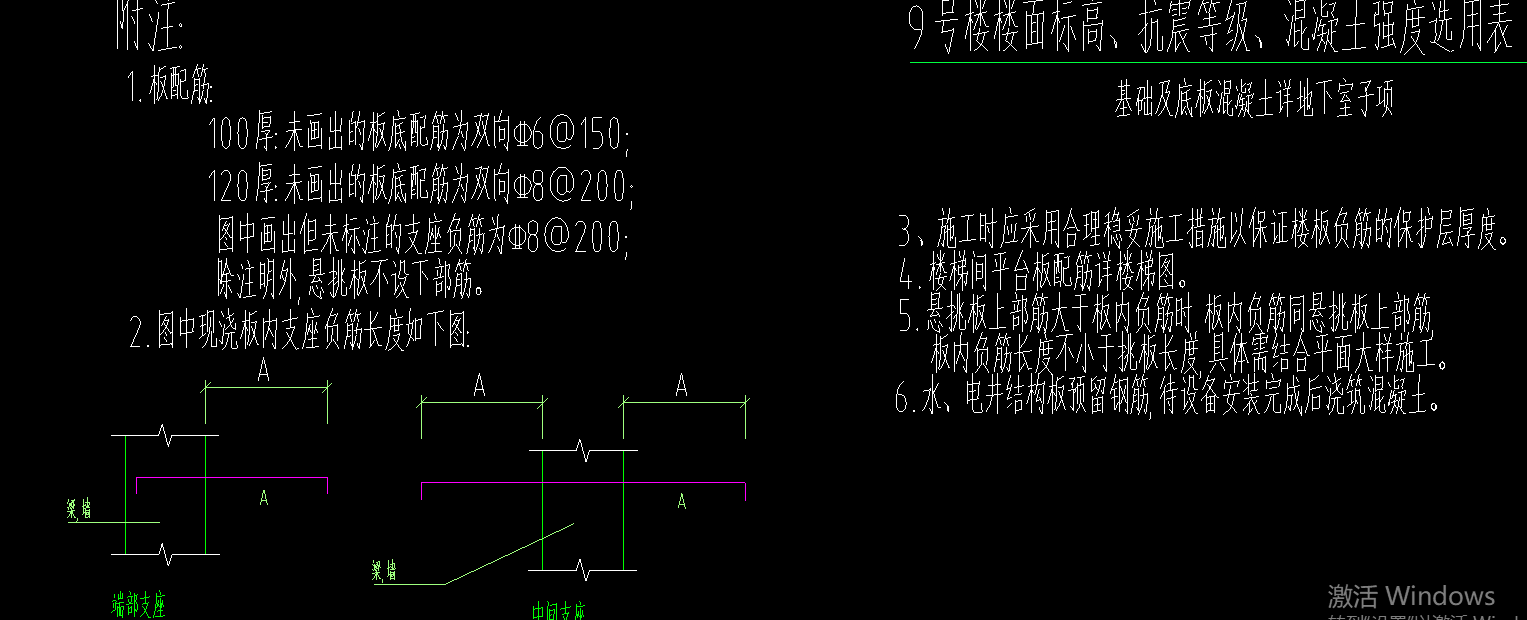 放射筋