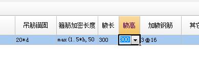 梁加腋
