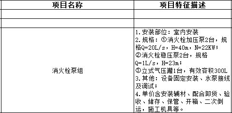 项目特征