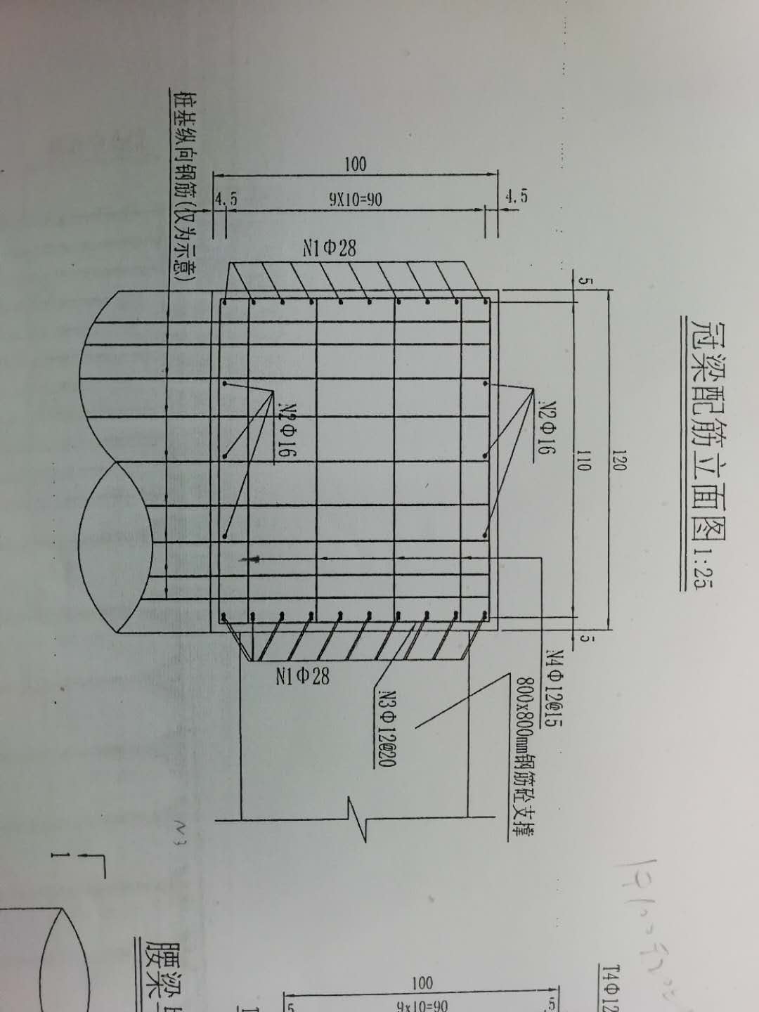 上下部通长筋