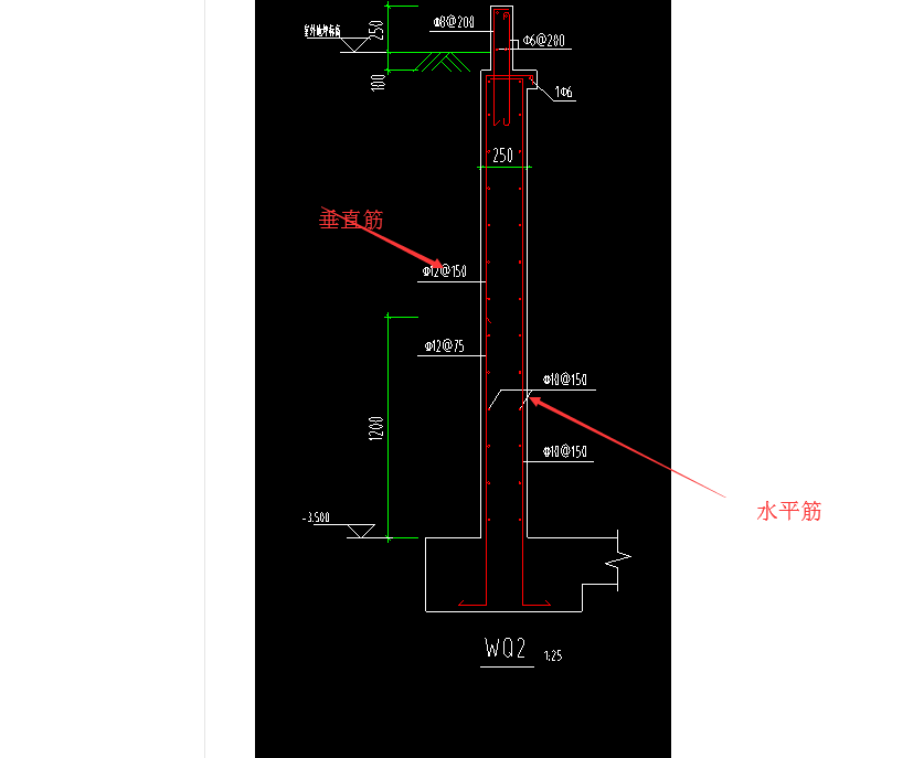 分布筋