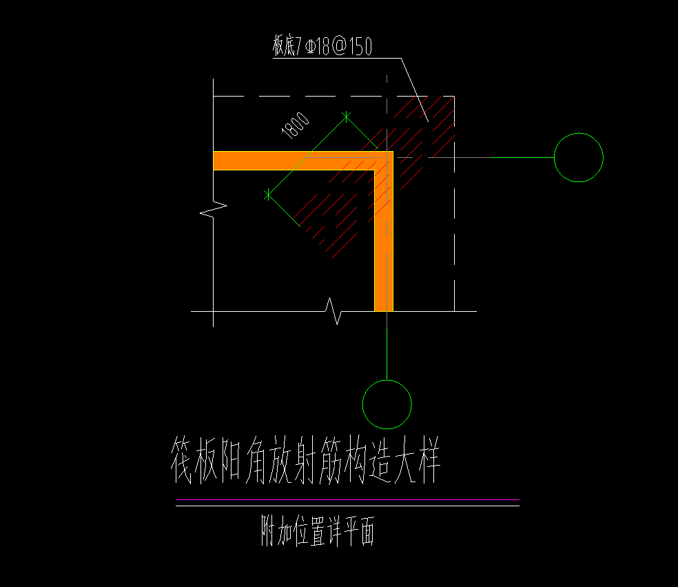 放射筋