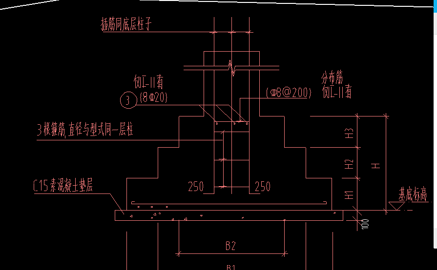 分布筋