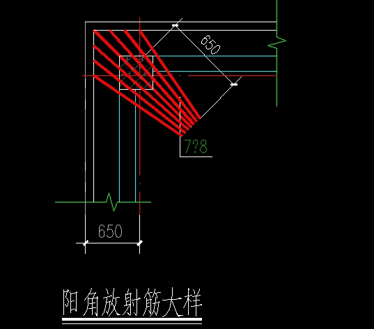 的放射筋