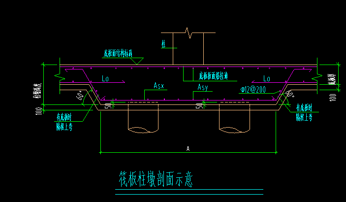 参数化