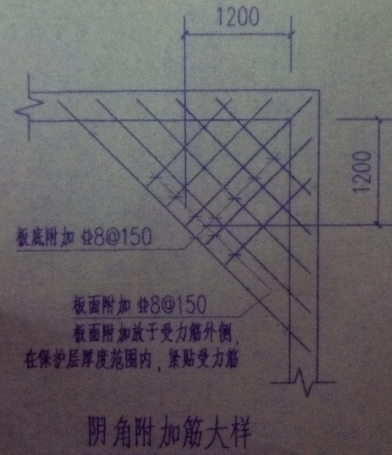 放射筋