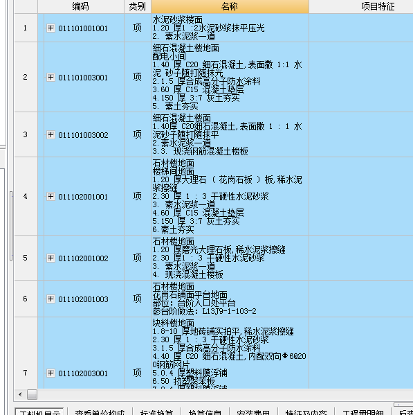 项目特征