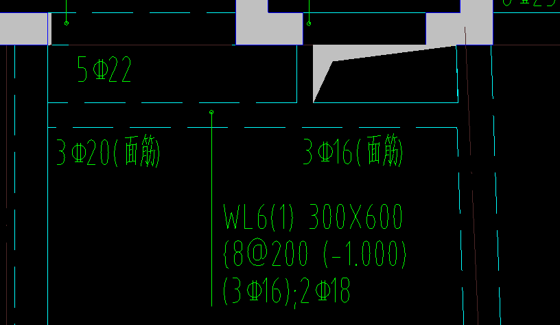 面筋