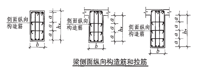 腹板