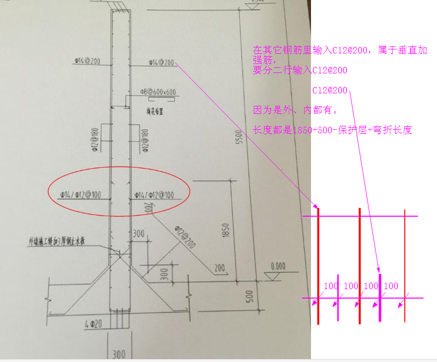 強(qiáng)筋