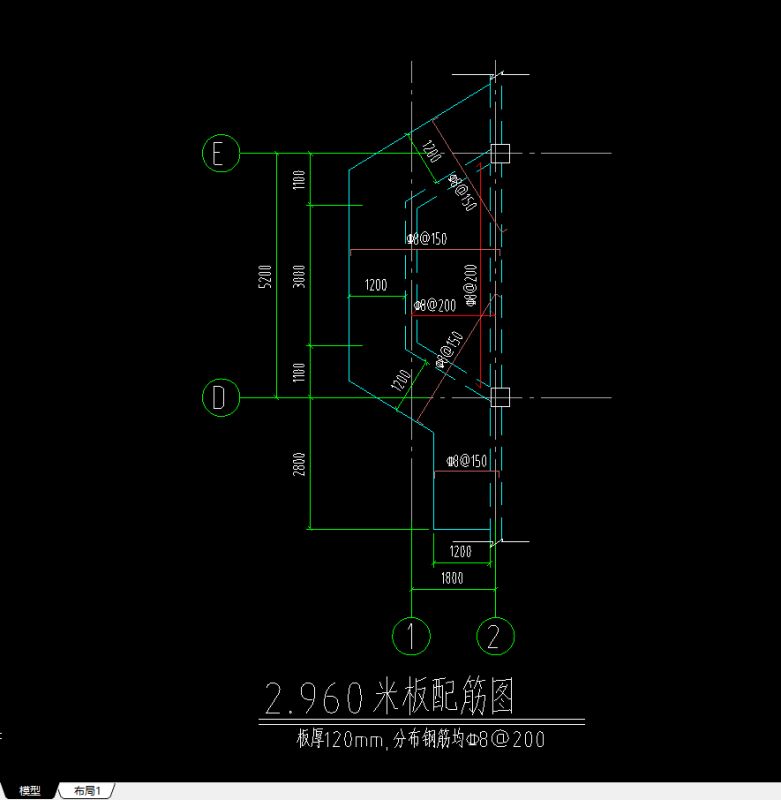 分布筋