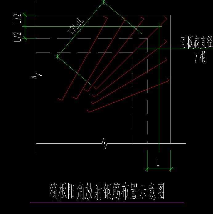 放射筋