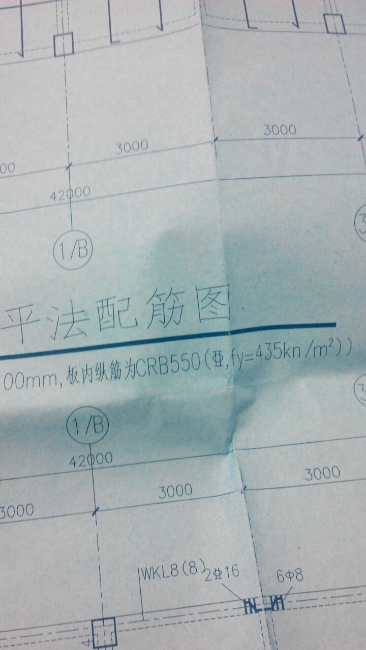 分布筋