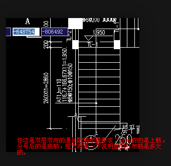 分布筋