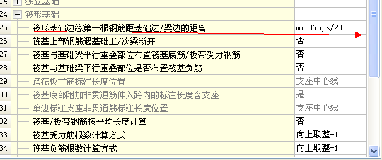 负筋根数
