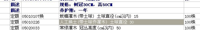子目