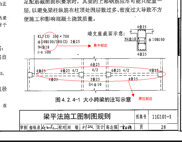 面筋