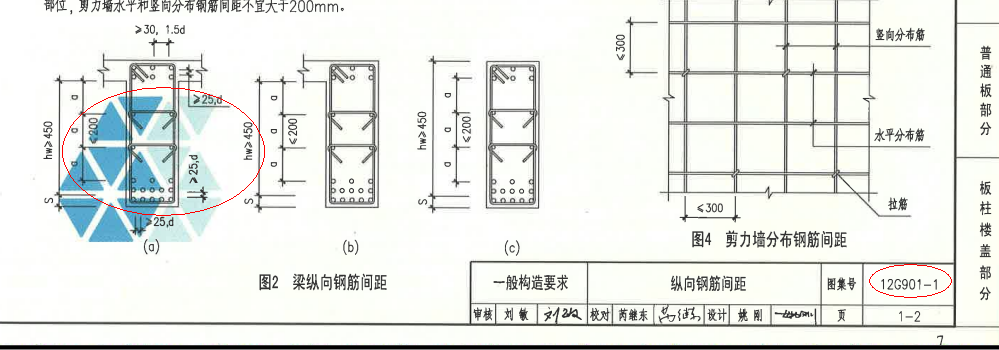側面縱筋